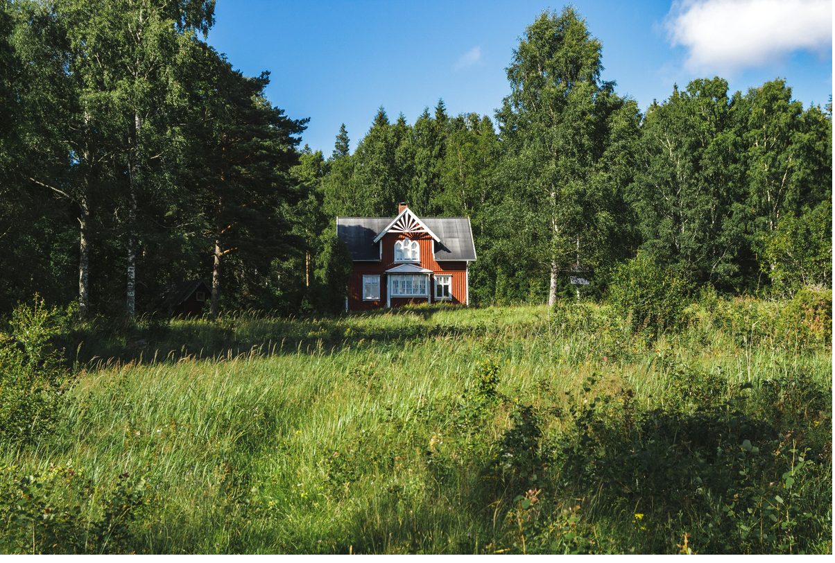 Rotes Schwedenhaus im Wald auf Sommerwiese