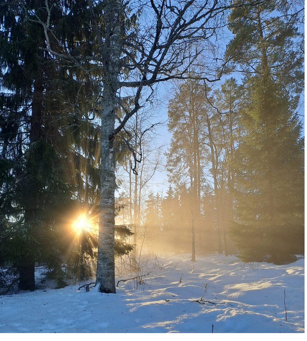 Winterlicht in Dalarna – blaue Stunde im Schnee
