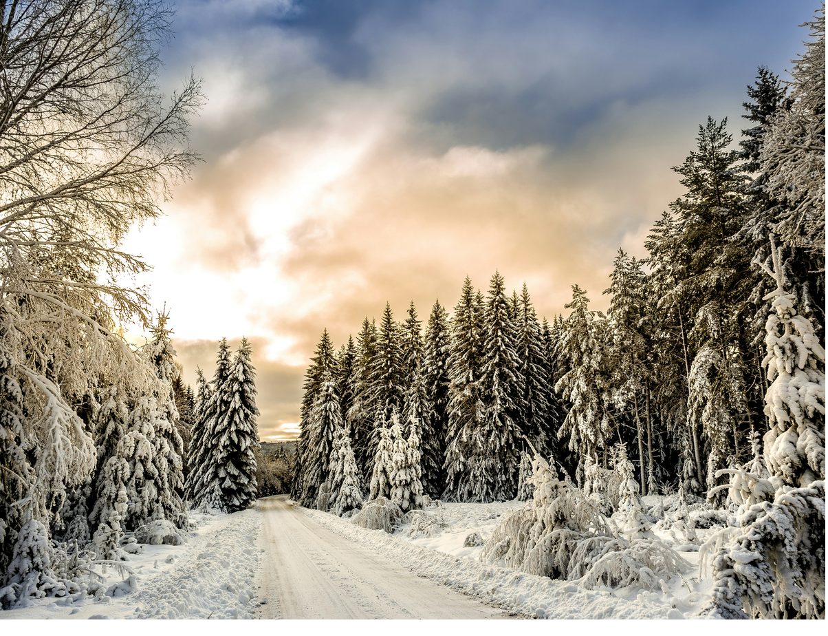 Verschneiter Waldweg – Winter in Dalarna